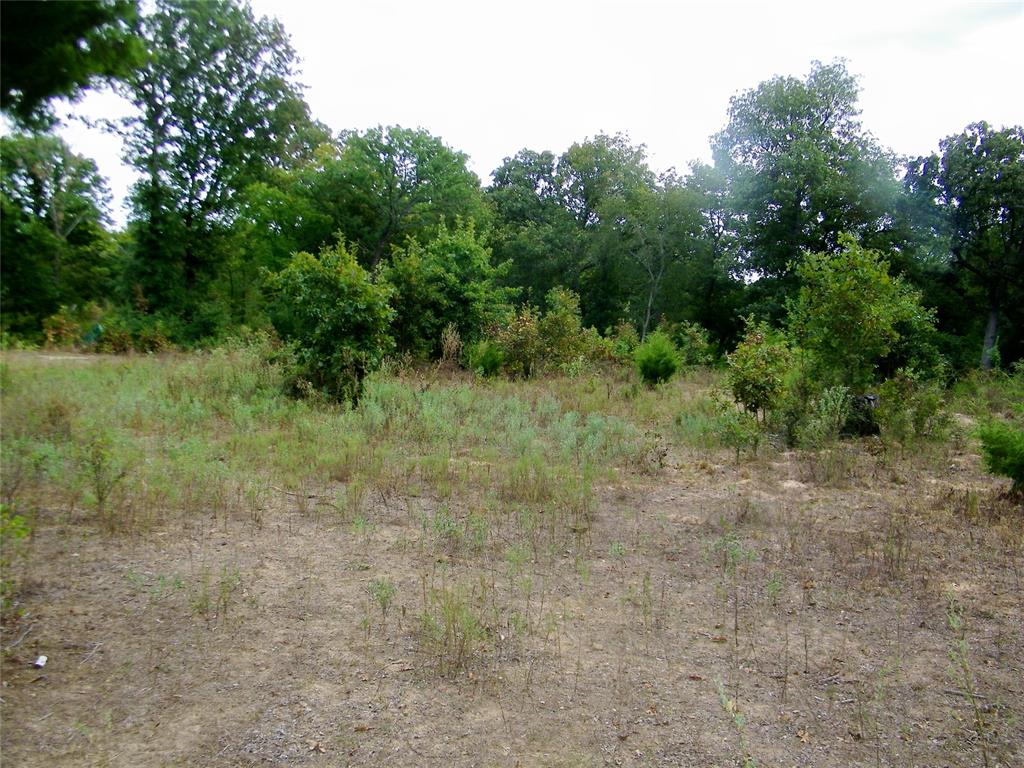 8079 County Road 1460 Property Photo 28