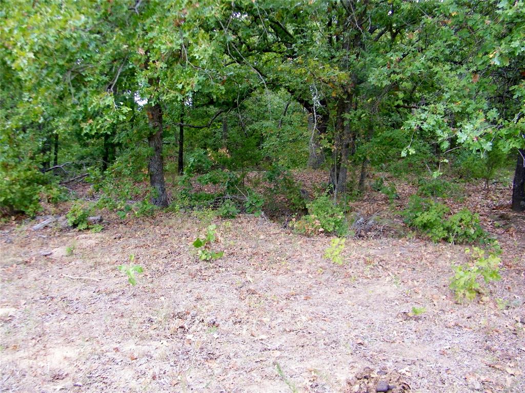 8079 County Road 1460 Property Photo 29