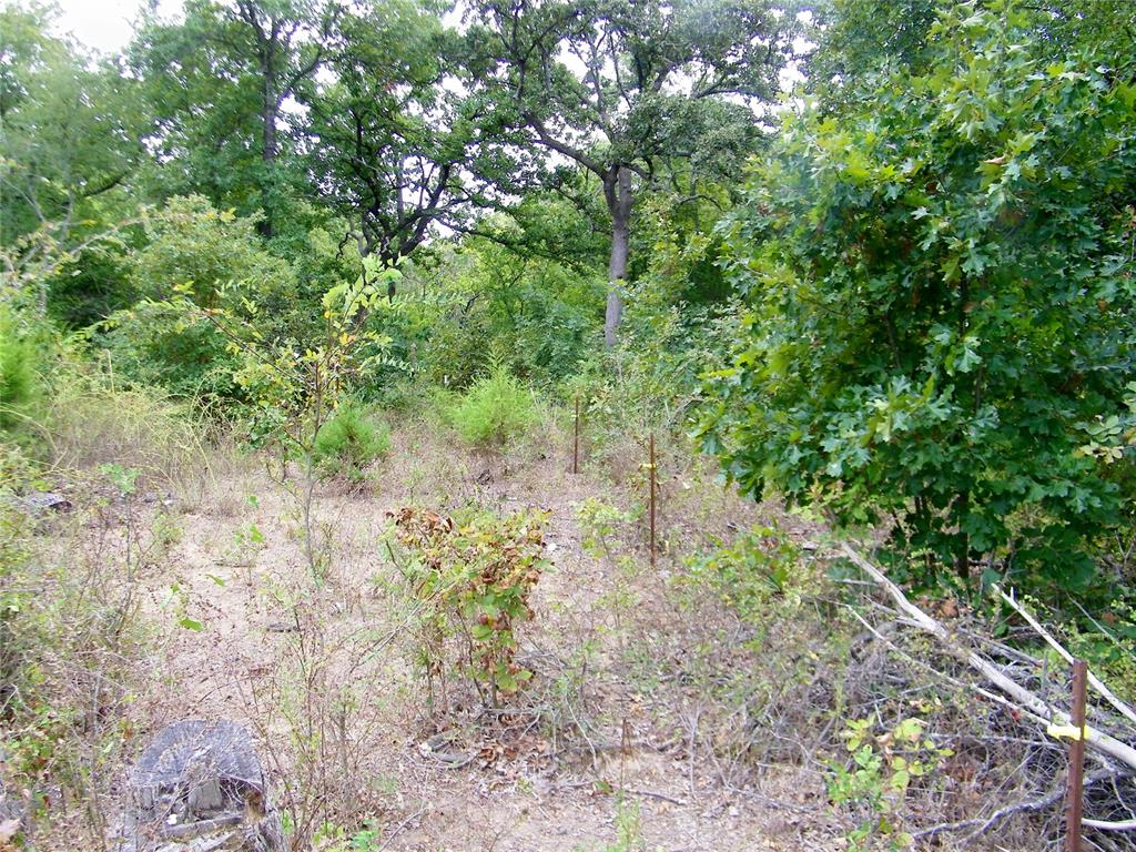 8079 County Road 1460 Property Photo 30
