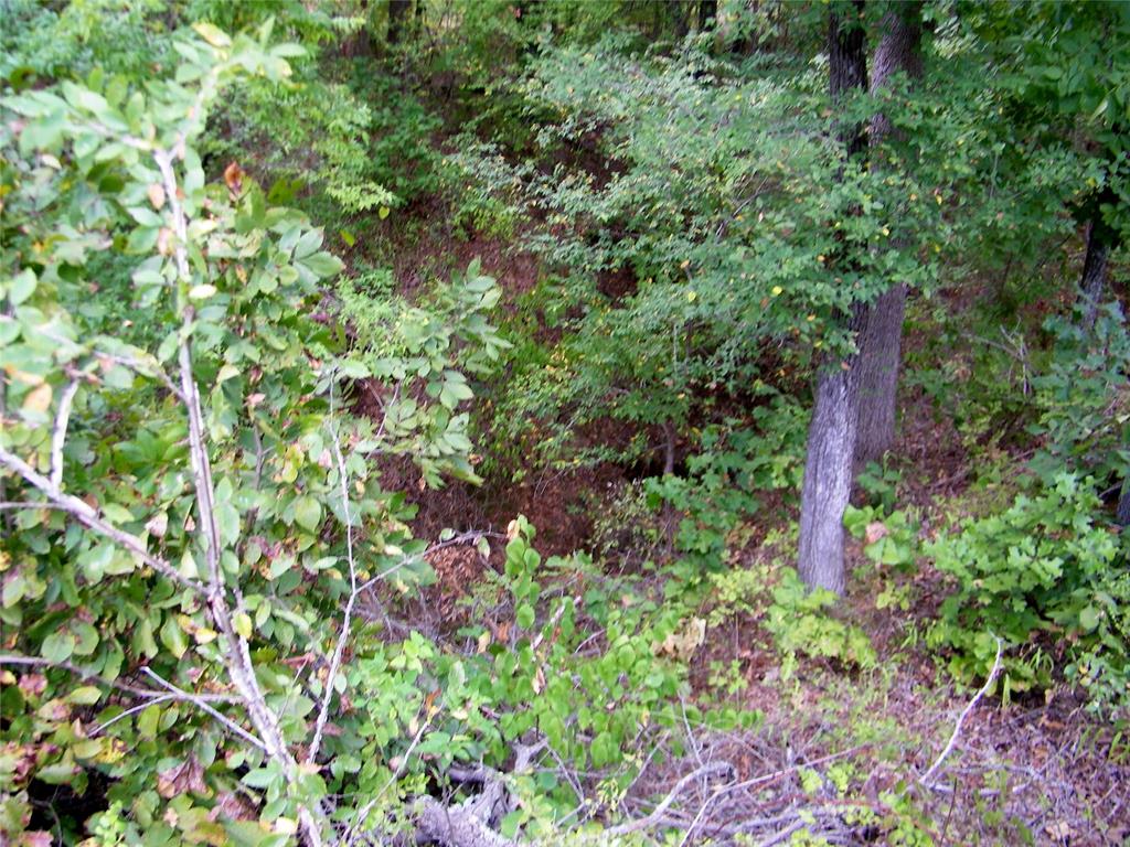 8079 County Road 1460 Property Photo 31