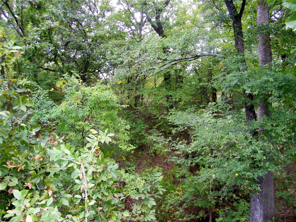 8079 County Road 1460 Property Photo 32
