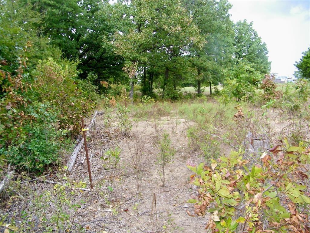 8079 County Road 1460 Property Photo 34