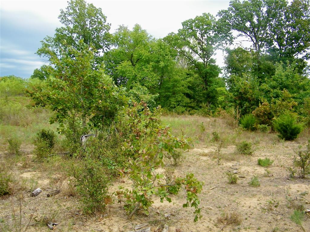 8079 County Road 1460 Property Photo 35