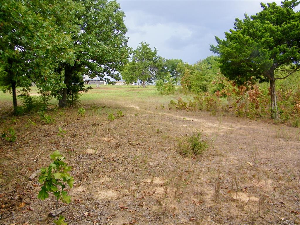 8079 County Road 1460 Property Photo 36