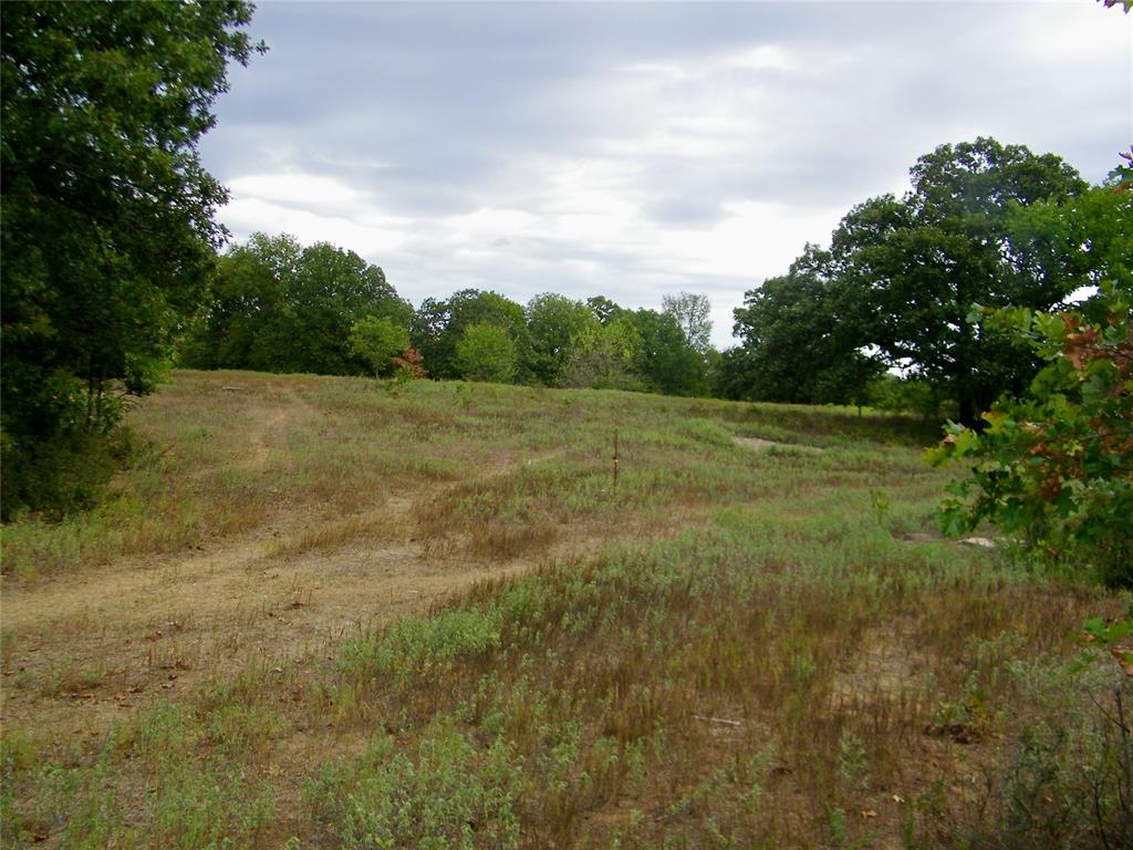 8079 County Road 1460 Property Photo 39