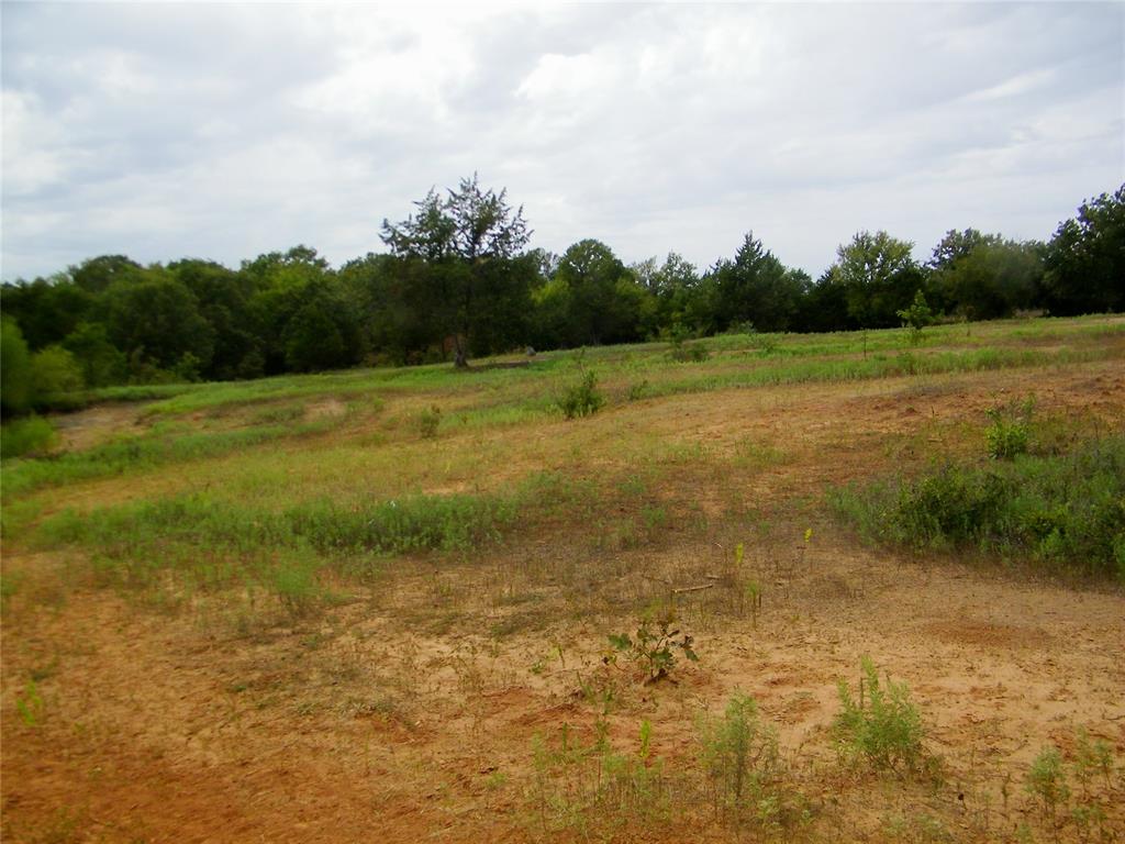 8079 County Road 1460 Property Photo 40
