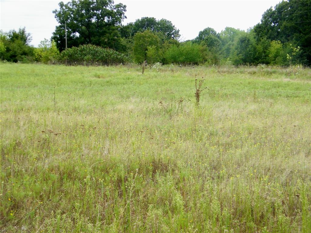 8079 County Road 1460 Property Photo 43