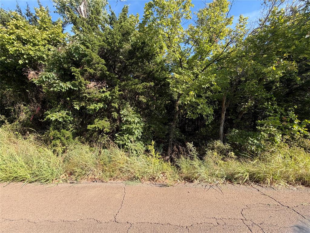 0 Bronco Road Property Photo 4