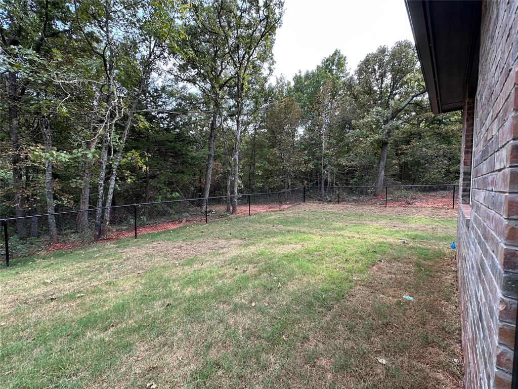 16790 Jigsaw Junction Property Photo 4
