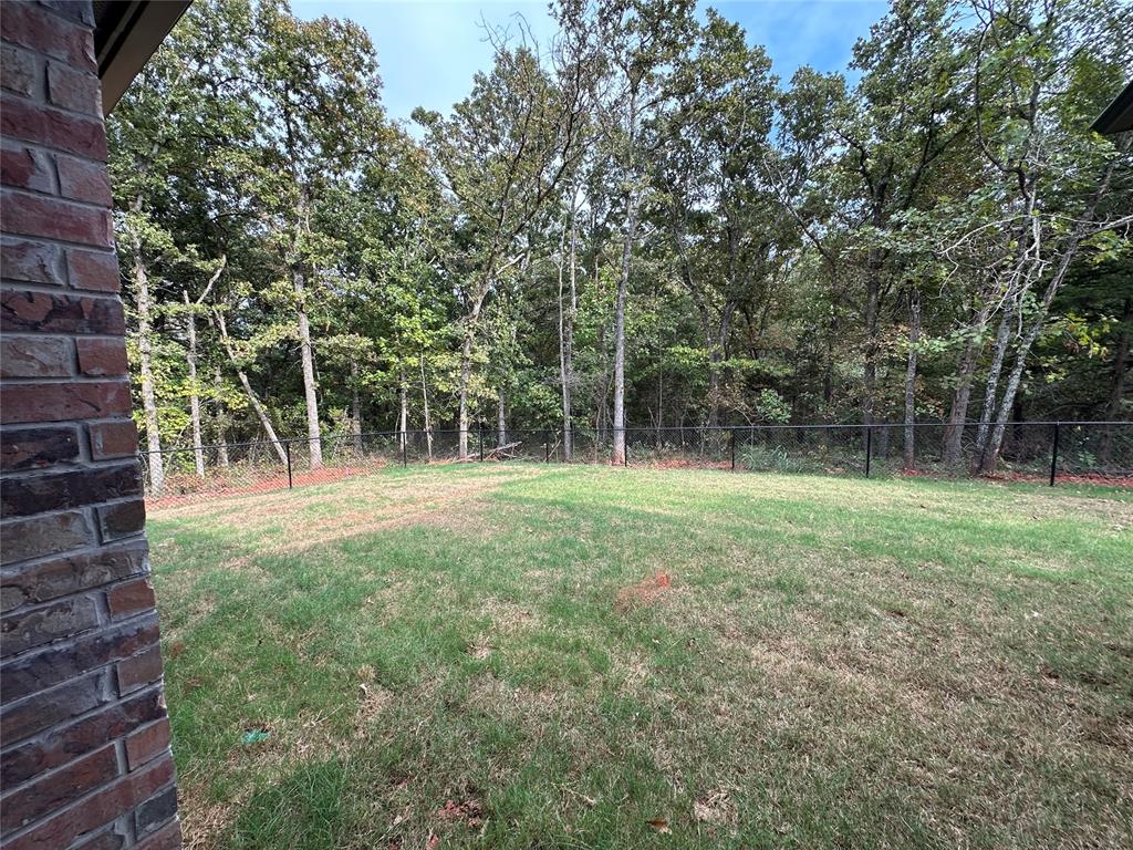 16790 Jigsaw Junction Property Photo 5