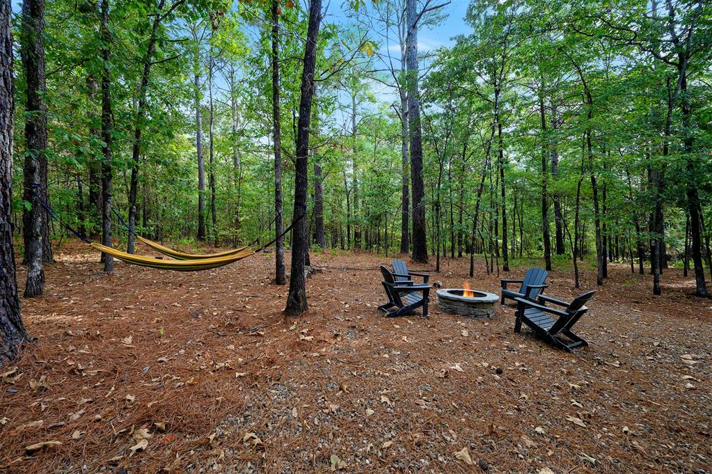 291 Split Paddle Lane Property Photo 39