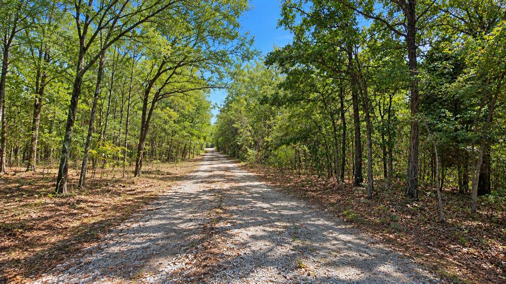 37 Timbercreek Lane Property Photo 5