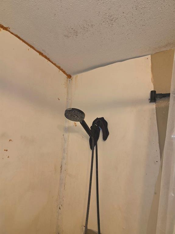 423 W Ponjo Avenue Property Photo 25