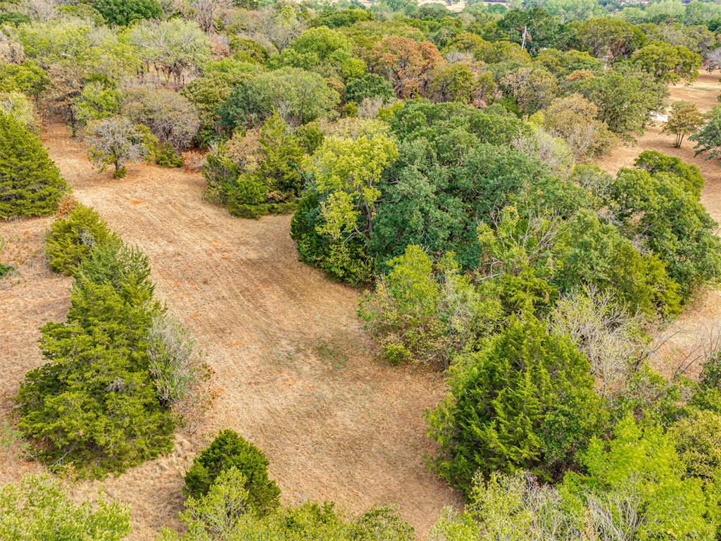 10125 Denise Road Property Photo 36