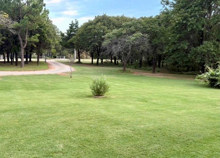 10125 Denise Road Property Photo 41