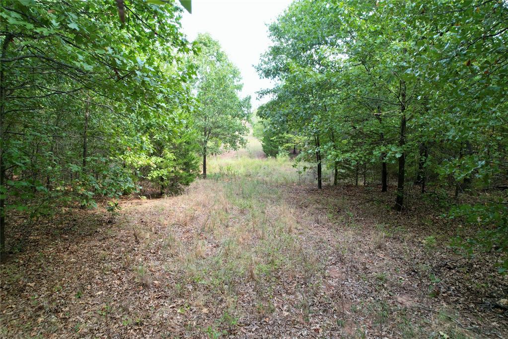 7675 Peaceful Oaks Lane Property Photo 2