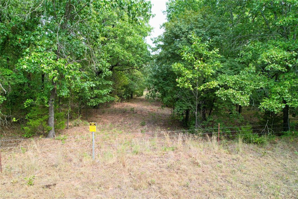 7675 Peaceful Oaks Lane Property Photo 21