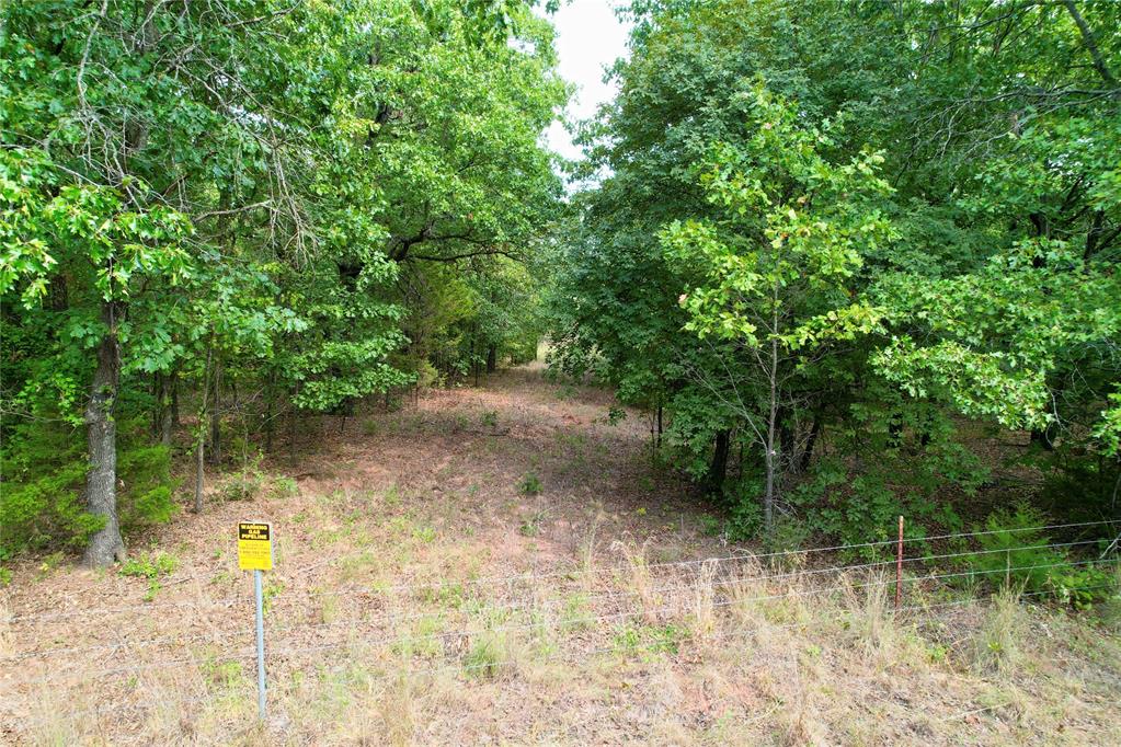 7675 Peaceful Oaks Lane Property Photo 22