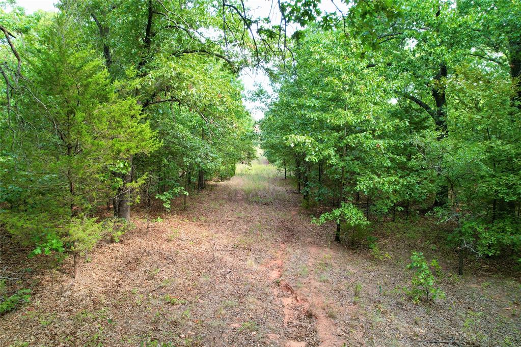 7675 Peaceful Oaks Lane Property Photo 23
