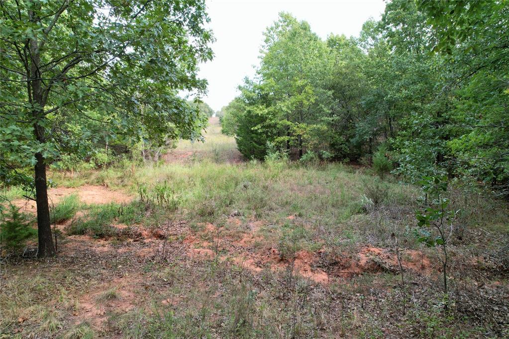 7675 Peaceful Oaks Lane Property Photo 24