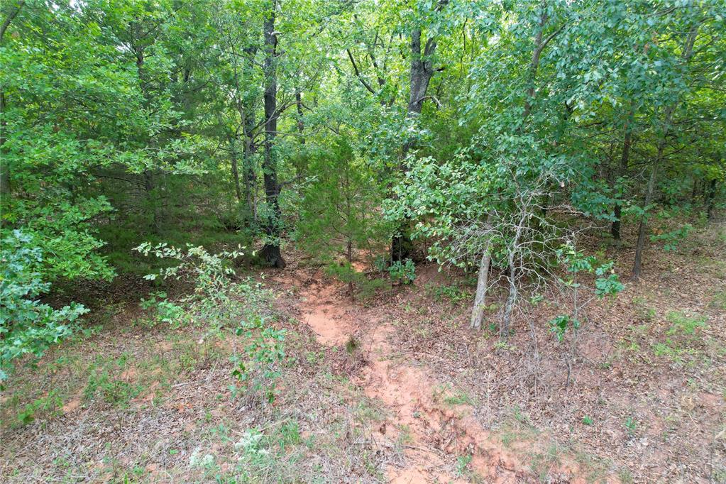 7675 Peaceful Oaks Lane Property Photo 26