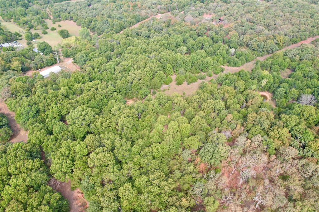 7675 Peaceful Oaks Lane Property Photo 31