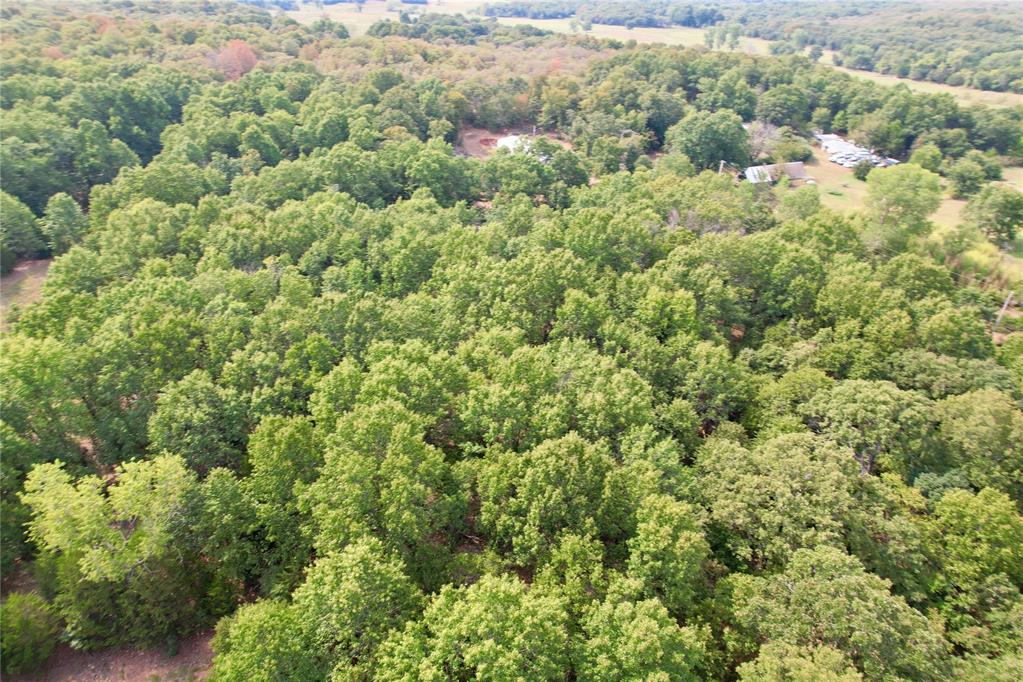 7675 Peaceful Oaks Lane Property Photo 35