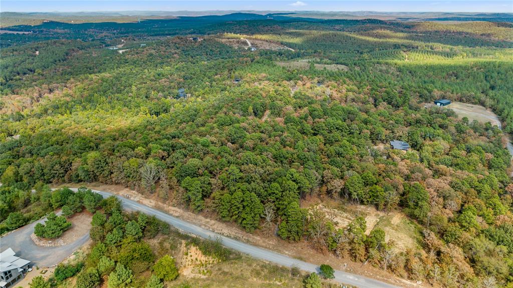 530 Woodland Bluff Trail Property Photo 3