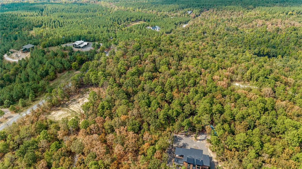 530 Woodland Bluff Trail Property Photo 5