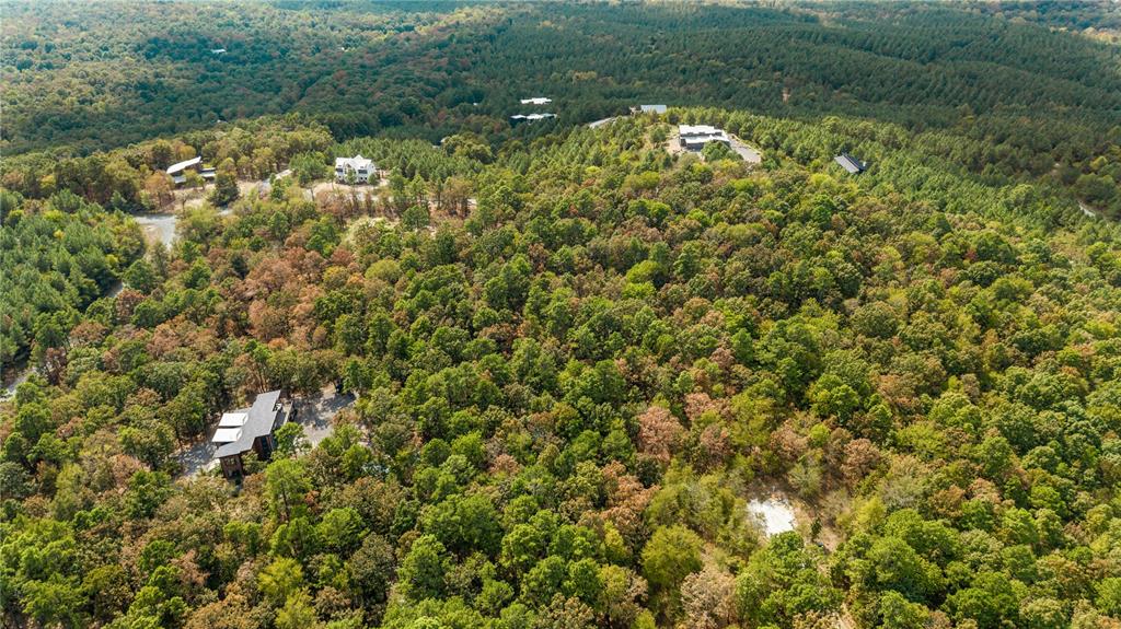 530 Woodland Bluff Trail Property Photo 6