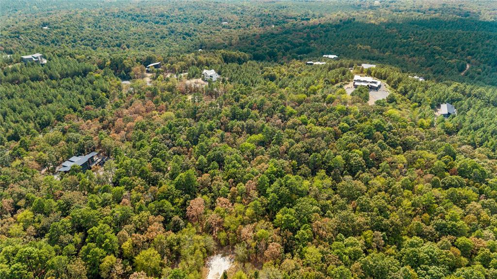 530 Woodland Bluff Trail Property Photo 7
