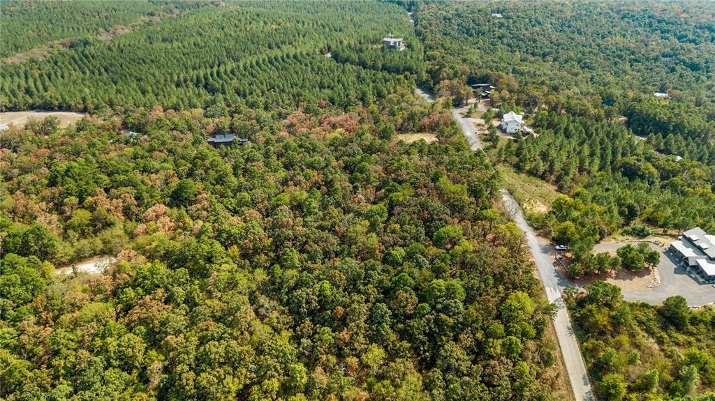 530 Woodland Bluff Trail Property Photo 8