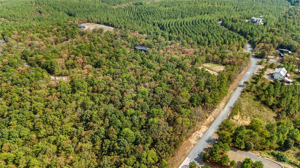 530 Woodland Bluff Trail Property Photo 9