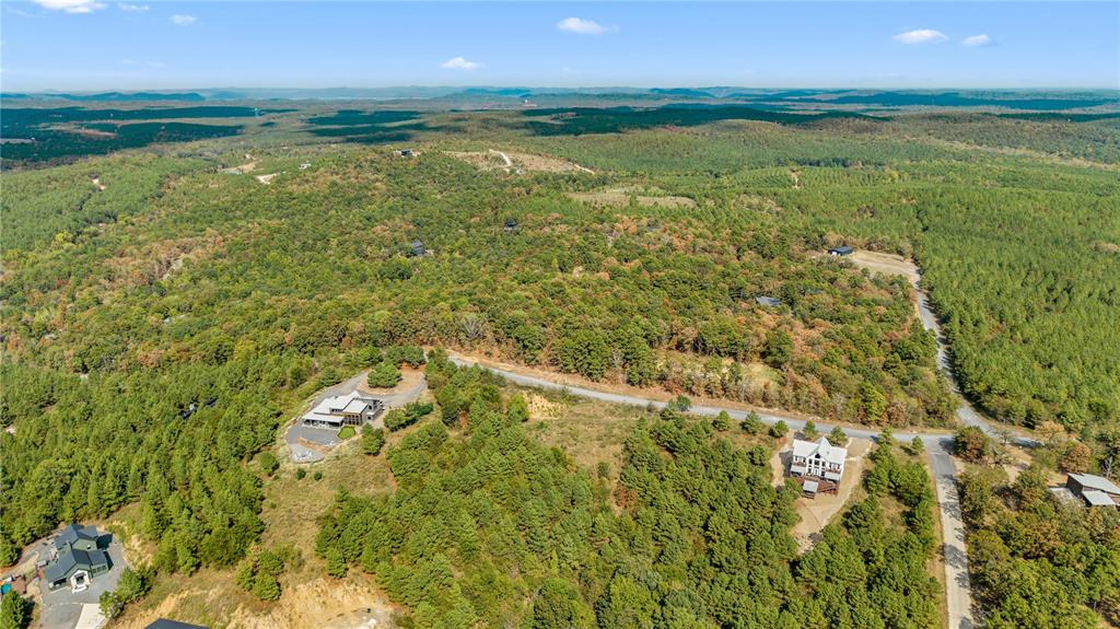 530 Woodland Bluff Trail Property Photo 10