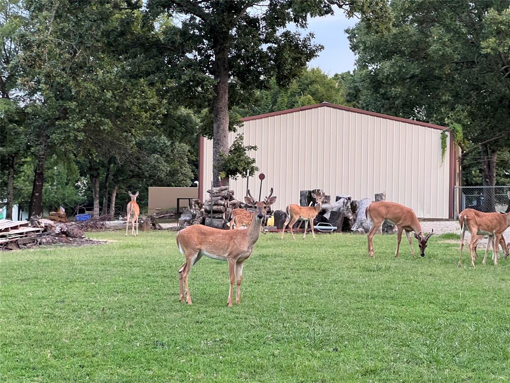0 Deer Creek Property Photo 1