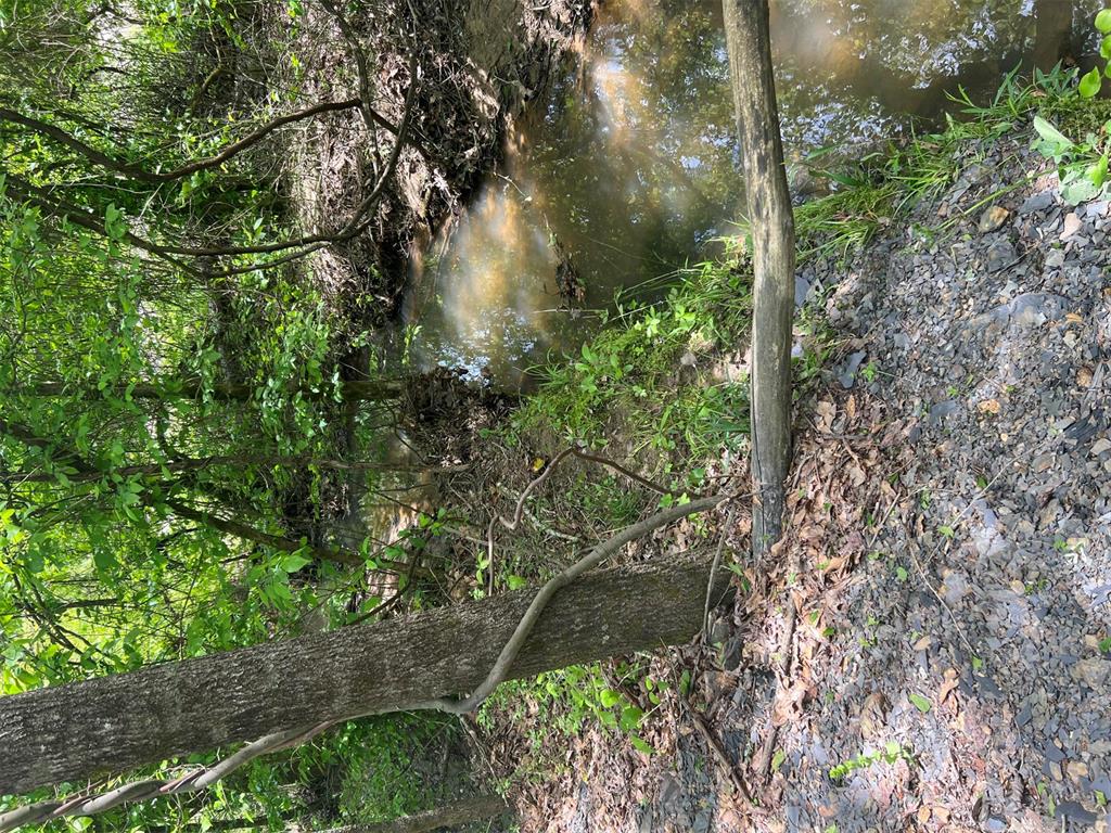 Buffalo Road Property Photo 1