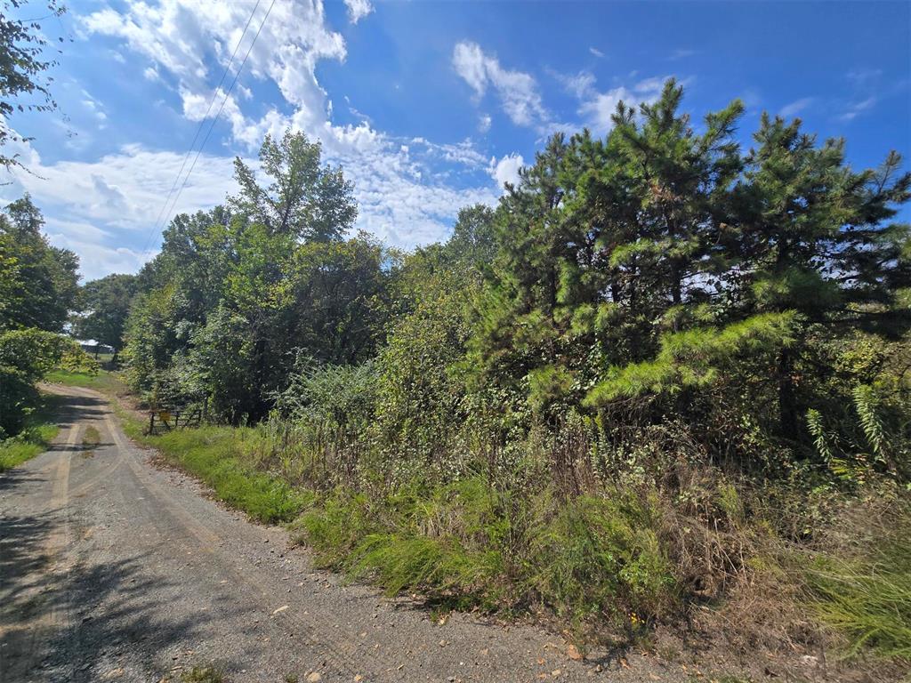 Buffalo Road Property Photo 3