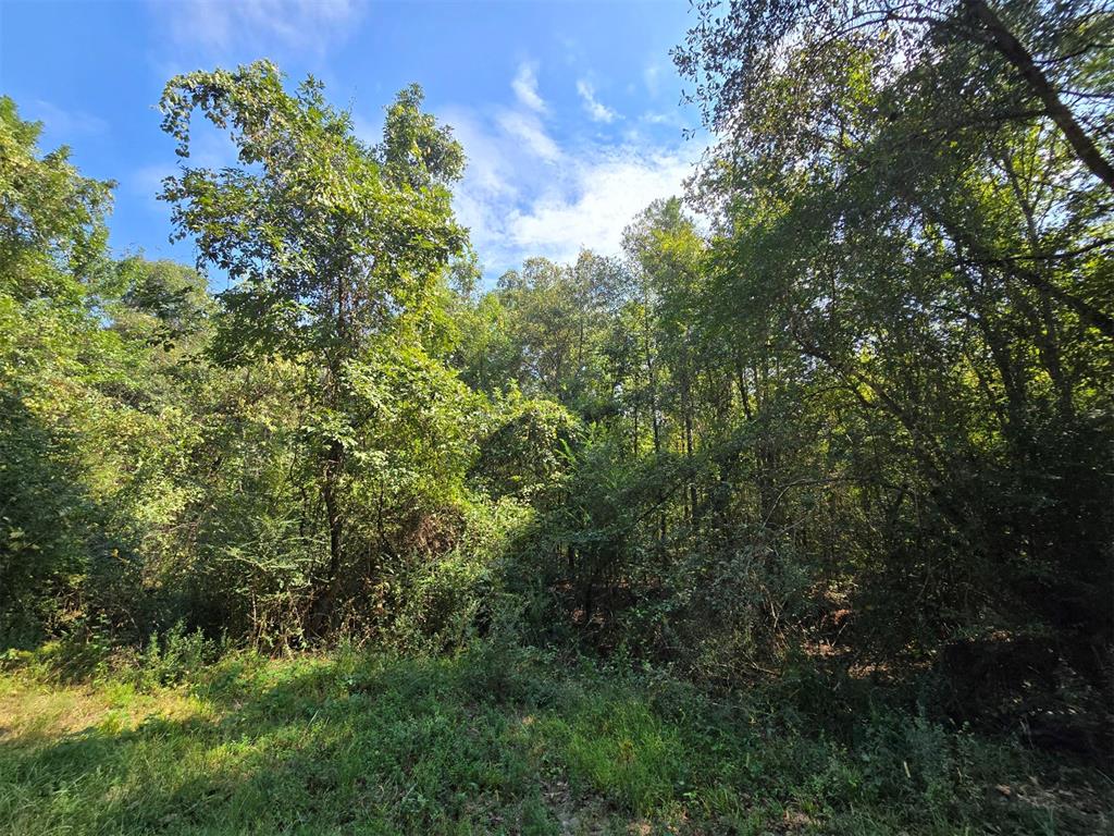 Buffalo Road Property Photo 5