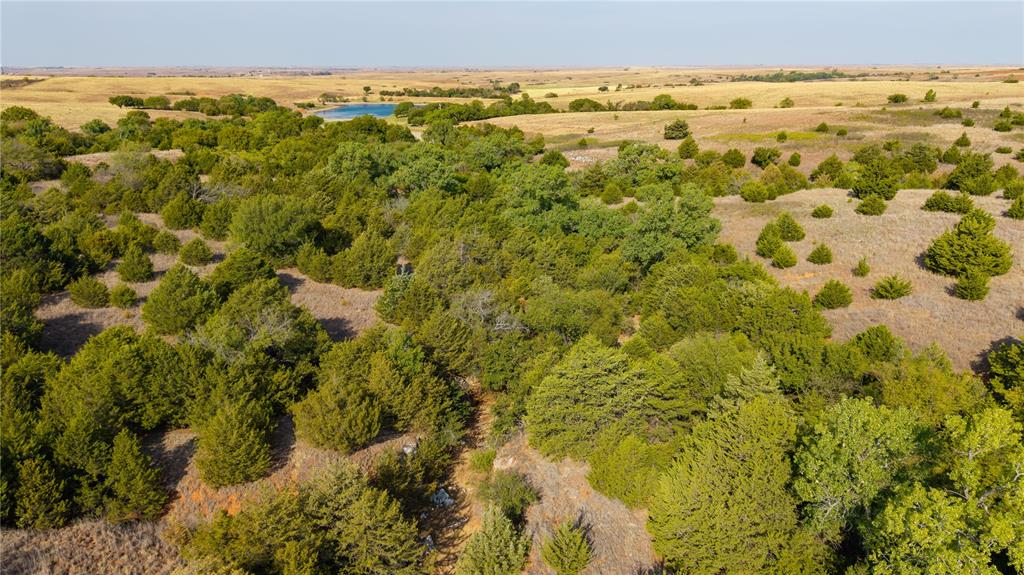 Rural Property Photo 13