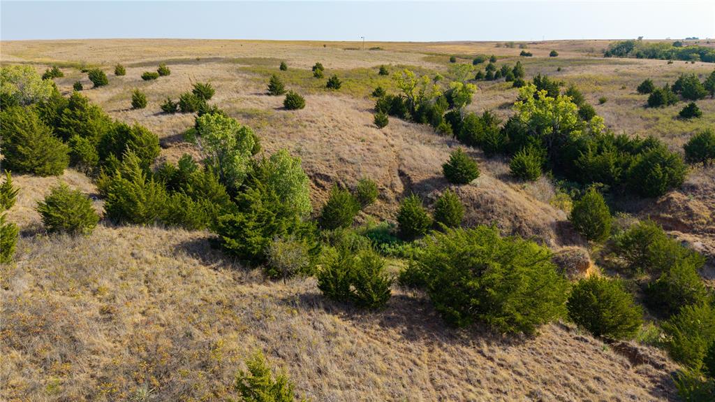 Rural Property Photo 18