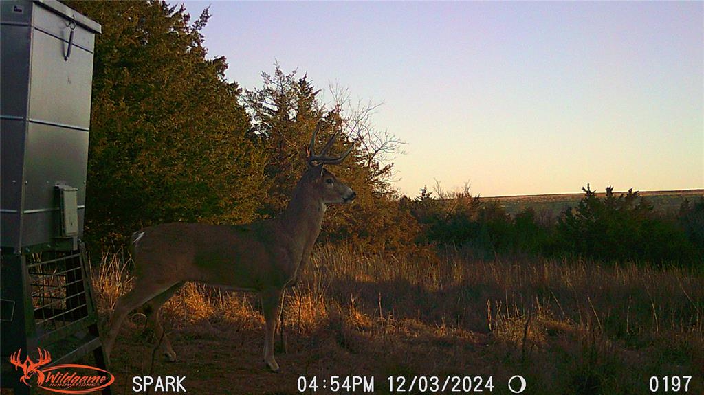 Rural Property Photo 22