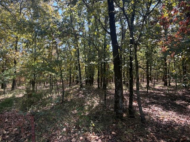 12593 S Crystal Cemetery Road Property Photo 1