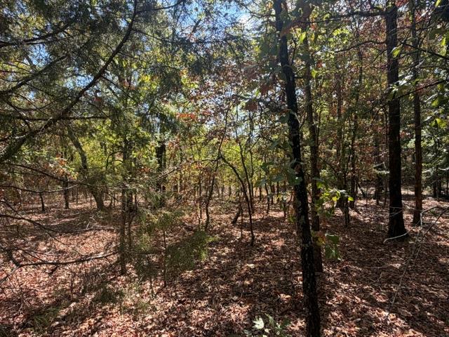12593 S Crystal Cemetery Road Property Photo 2