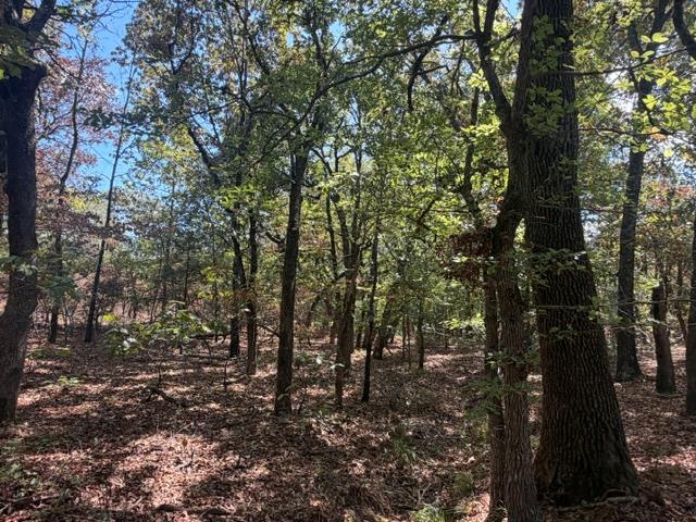 12593 S Crystal Cemetery Road Property Photo 3