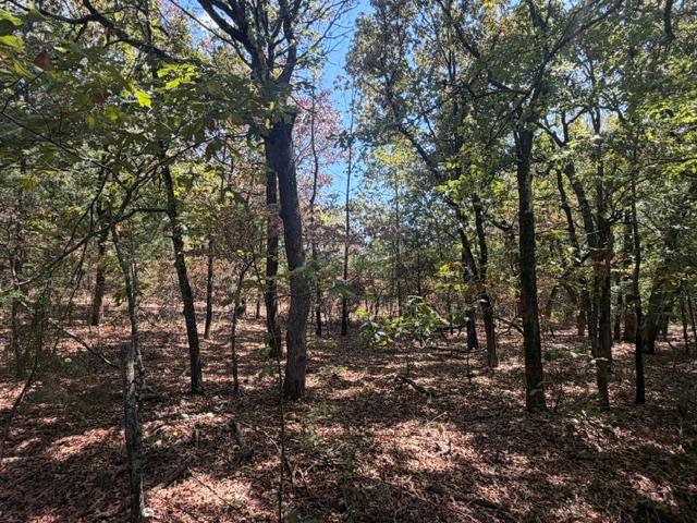 12593 S Crystal Cemetery Road Property Photo 4