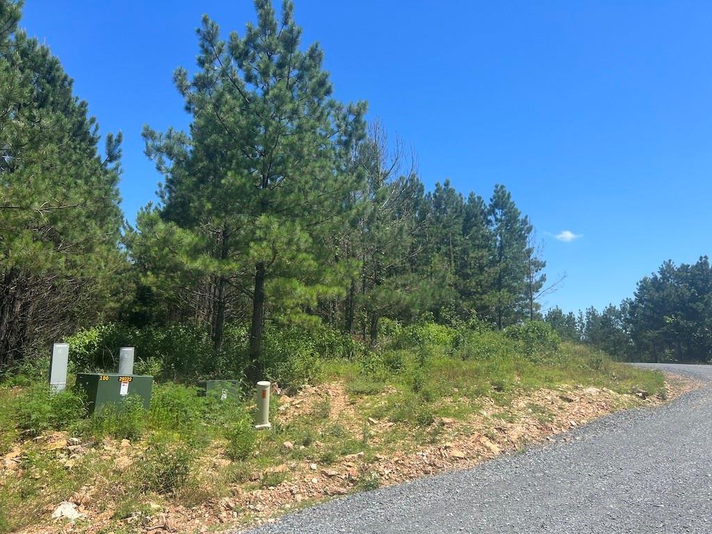 14 Morning Pines Trail Property Photo 3