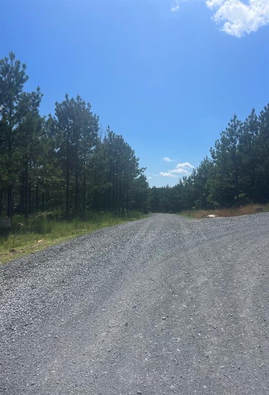 14 Morning Pines Trail Property Photo 4