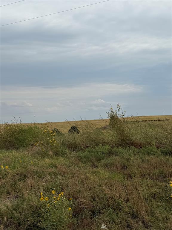 39111 Us Highway 281 Property Photo 4