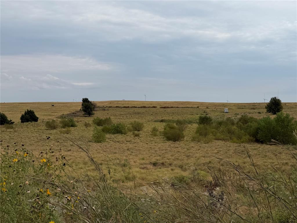 39111 Us Highway 281 Property Photo 5