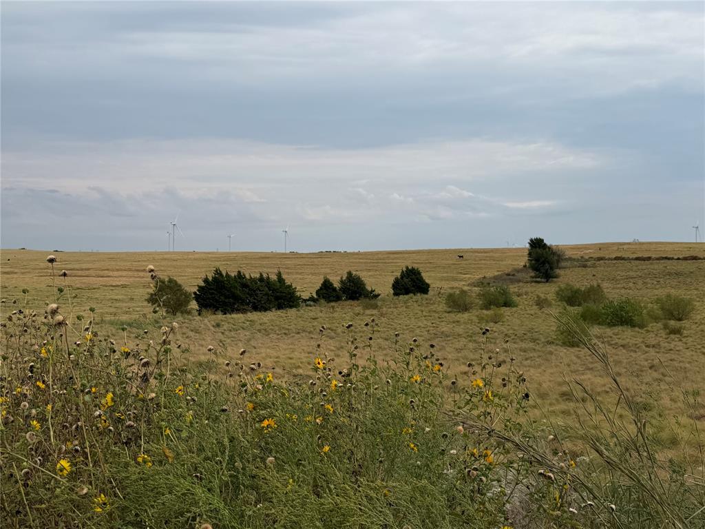 39111 Us Highway 281 Property Photo 6